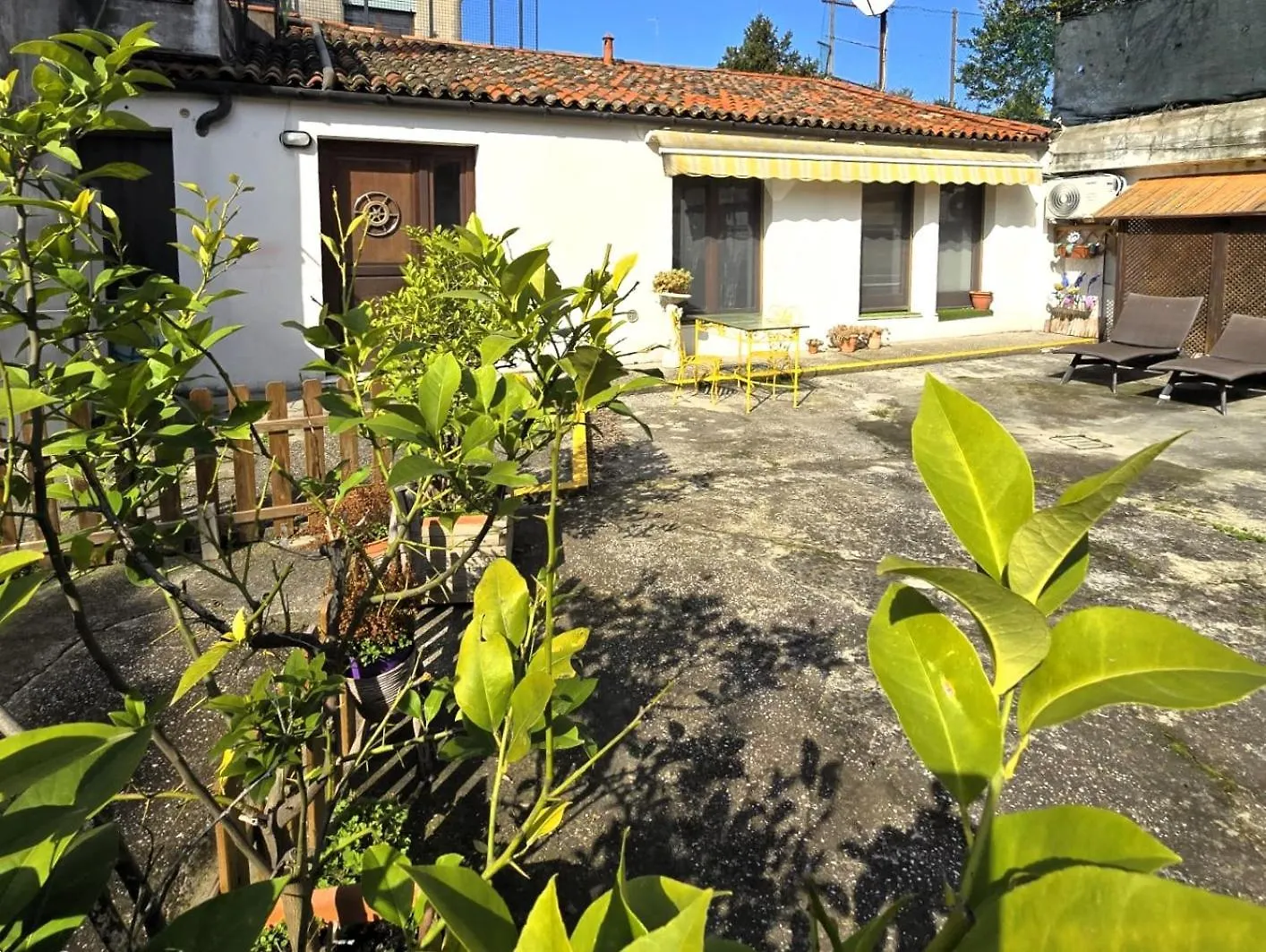 Anna'S Garden Venise